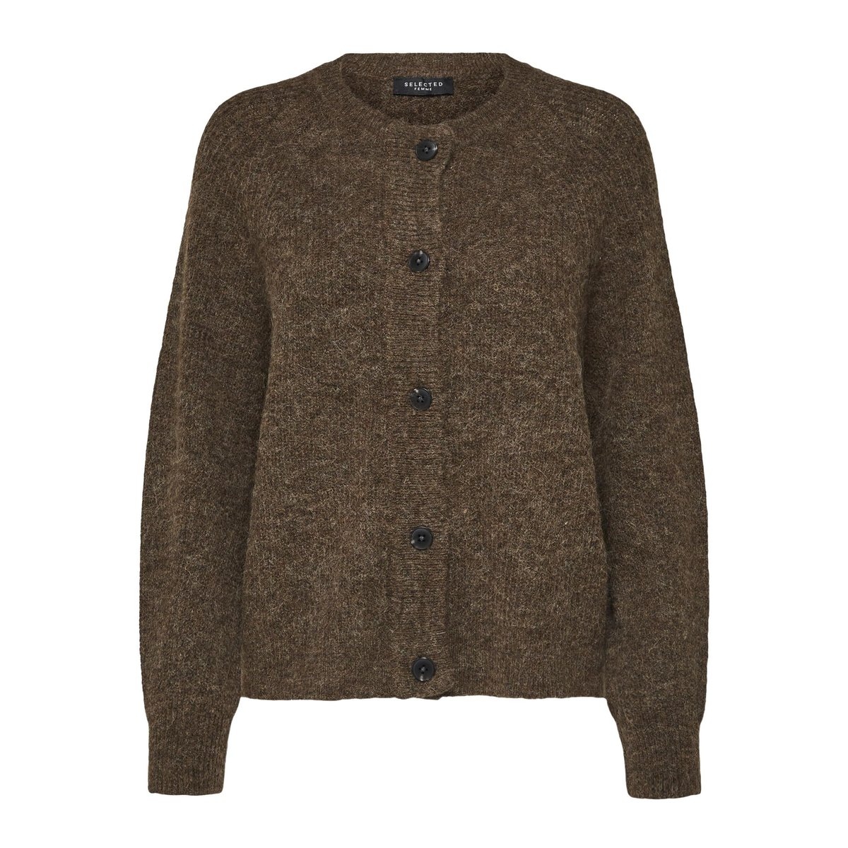Cardigan dachshund, SELECTED