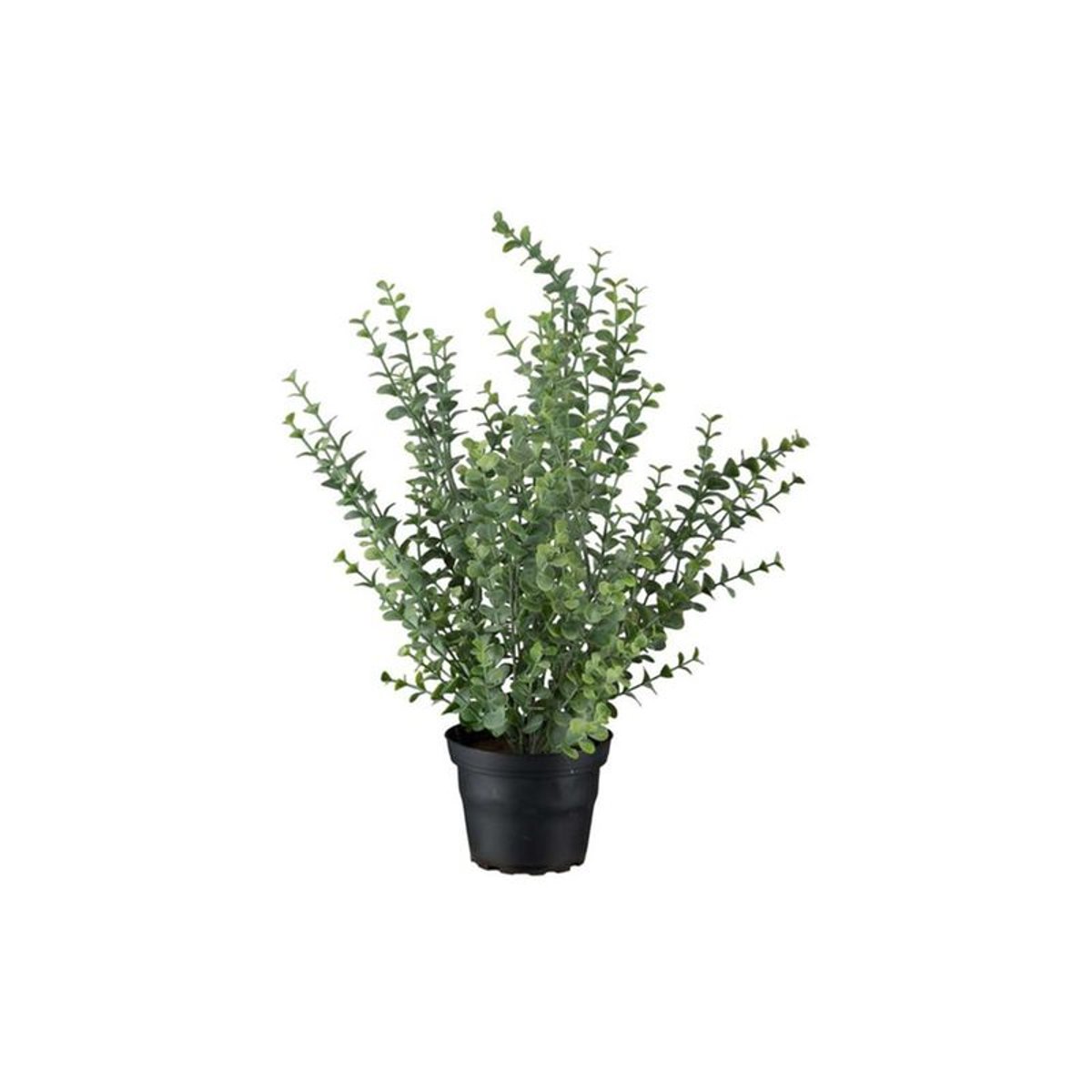 Eucalyptus artificiel en pot H 40 cm D 28 cm v002239, ARTIFICIELLES
