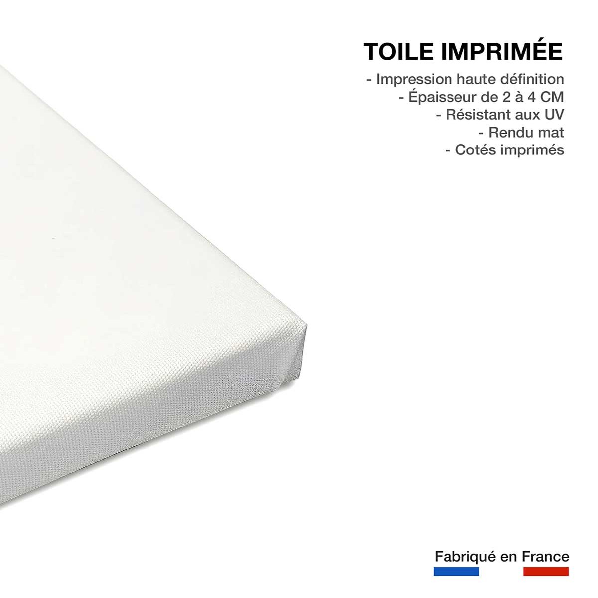 Tableau dessin charmante girafe toile imprimée, HEXOA