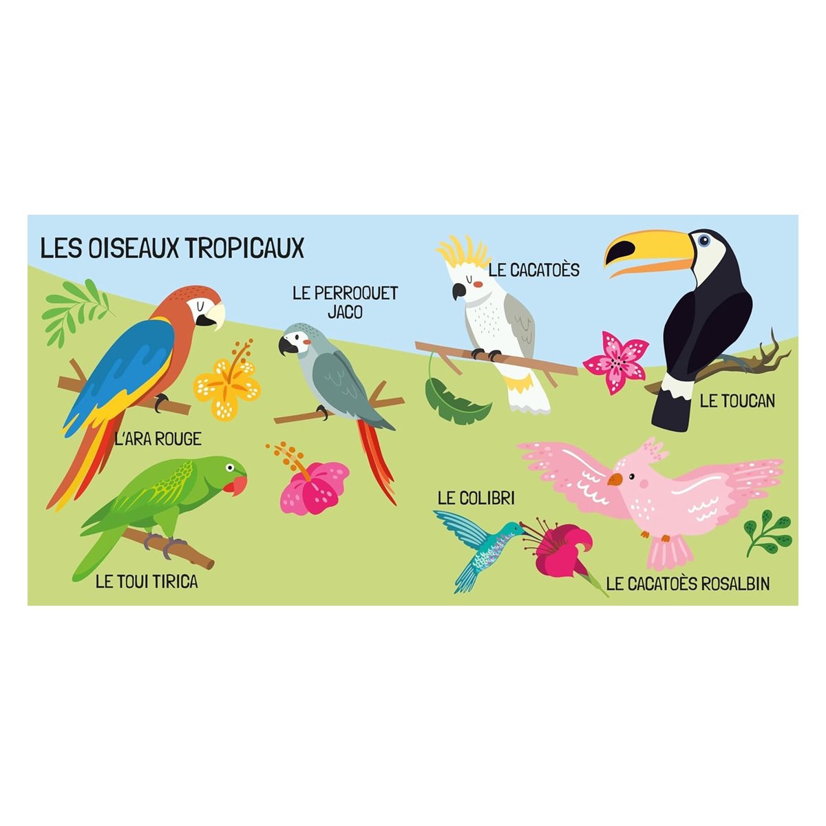 Livre et puzzle Les oiseaux bleu, SASSI JUNIOR
