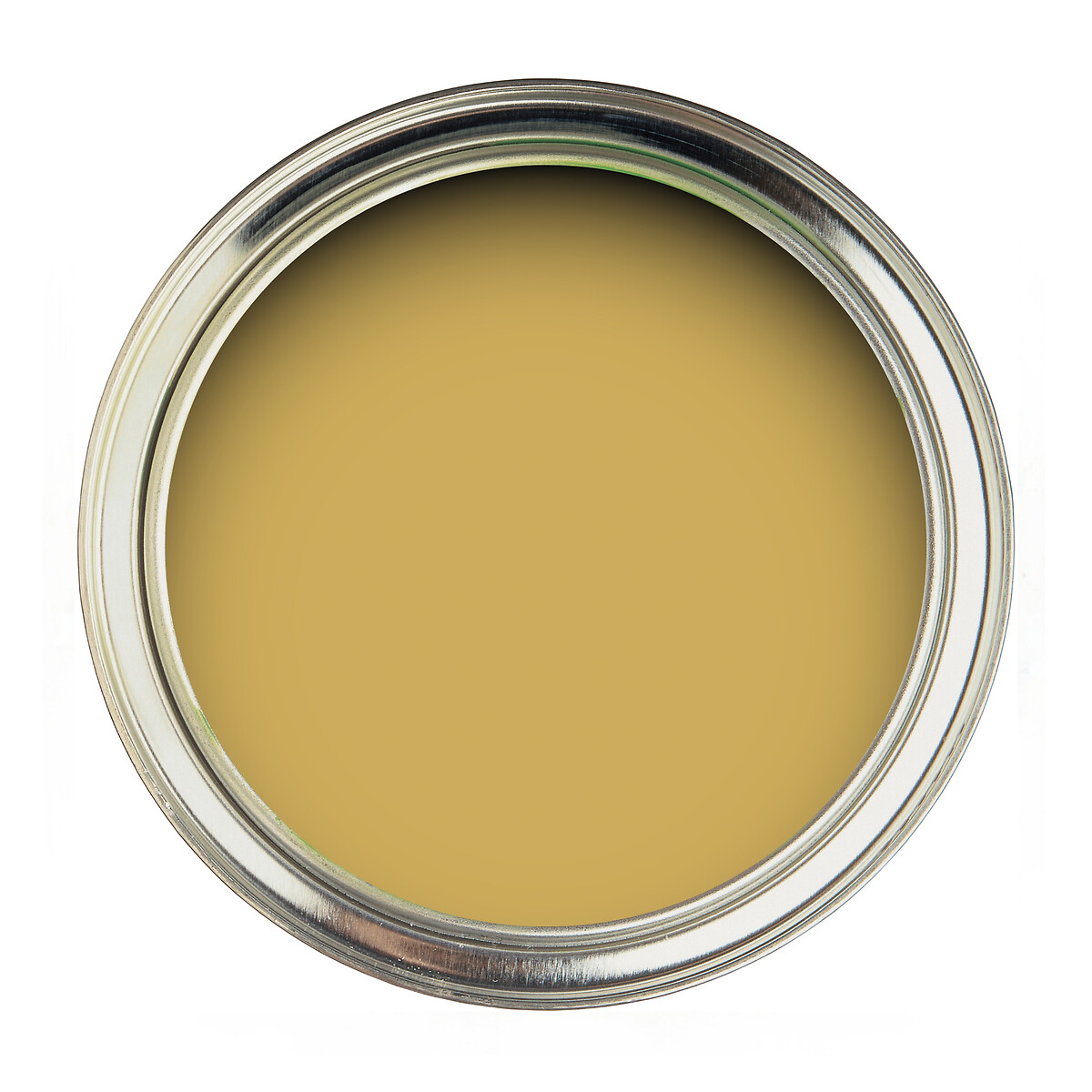 Active Emulsion Paint Woodland Yellow woodland yellow, SANDERSON