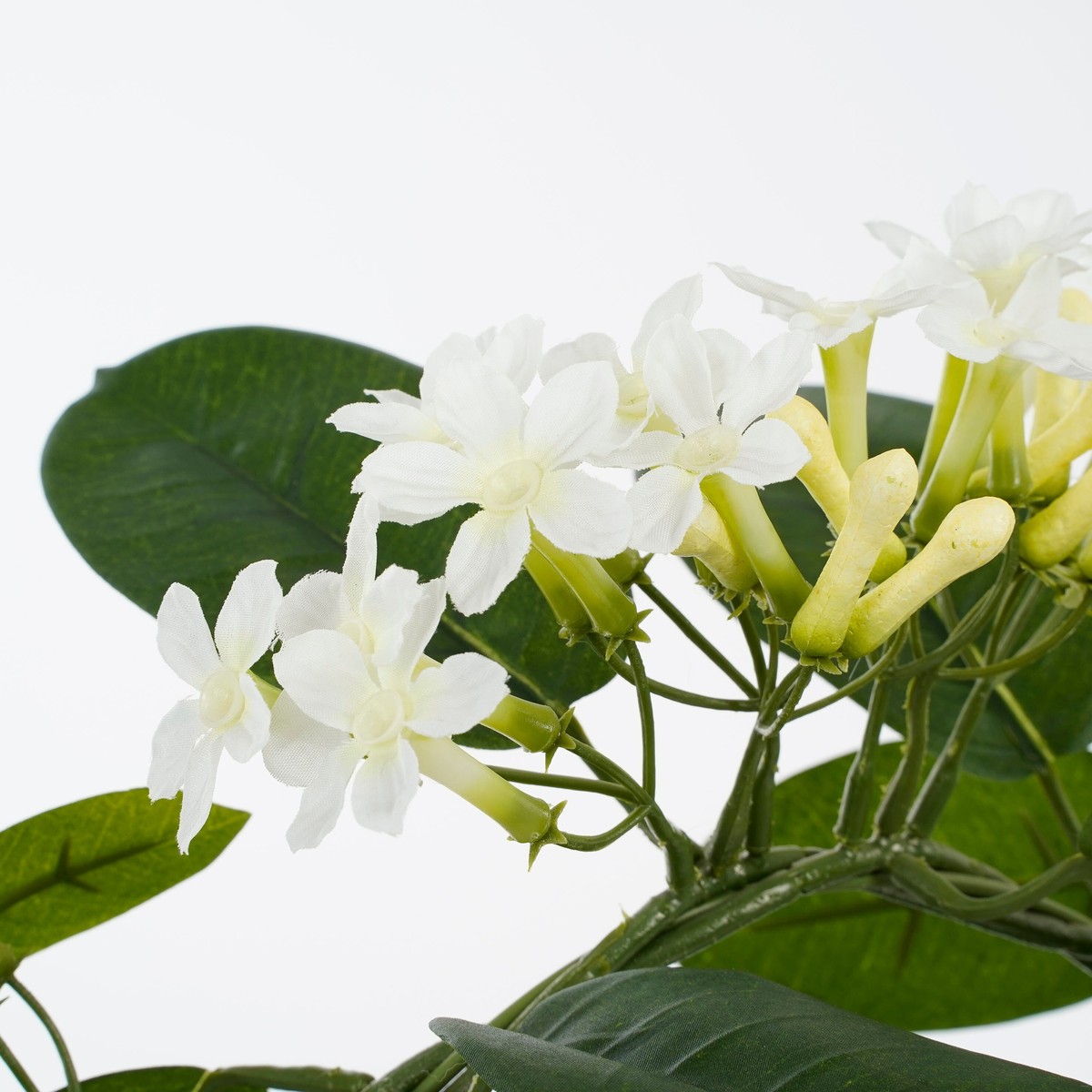 Plante artificielle STEPHANOTIS blanc, MICA DECORATIONS