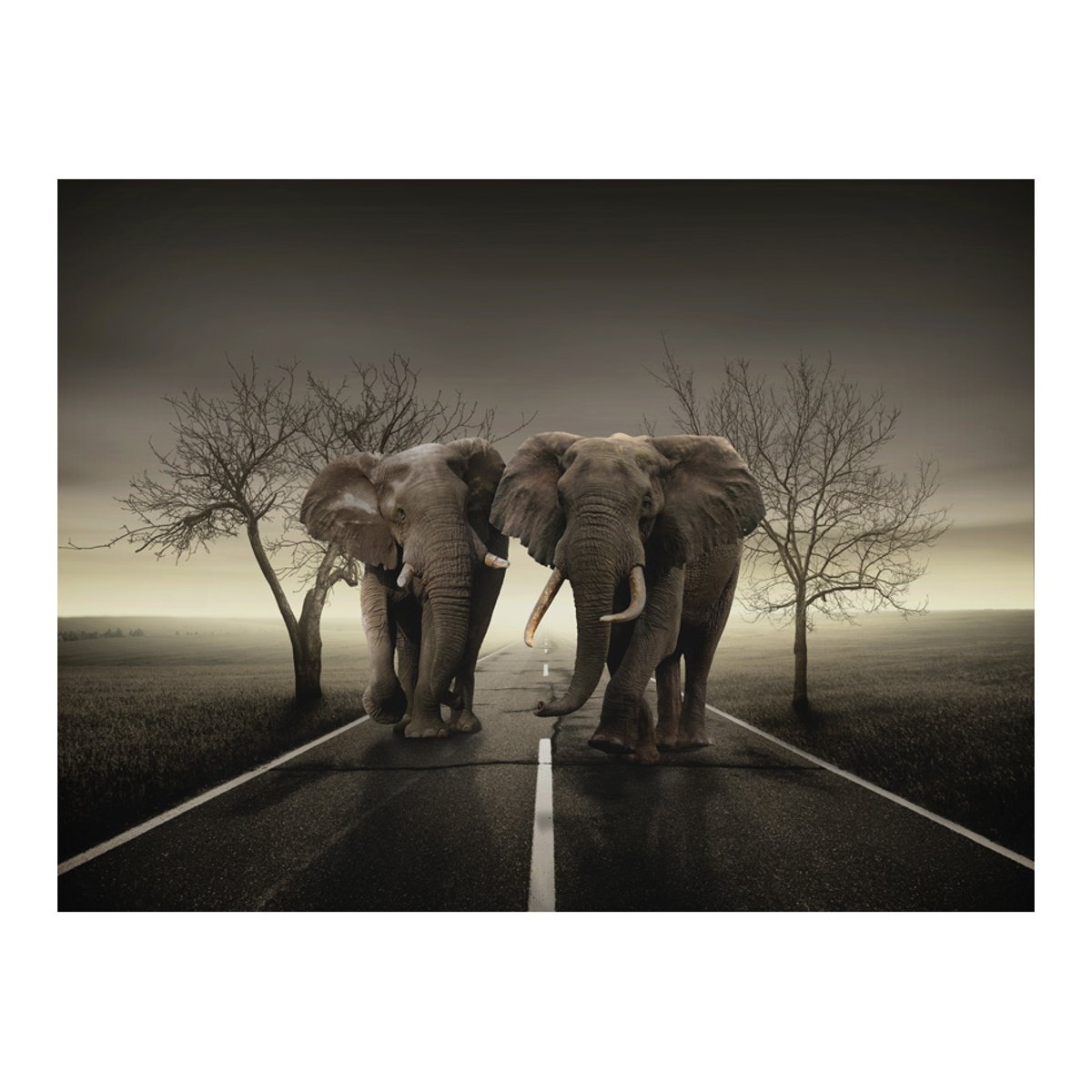 Papier peint intissé panoramique Animaux Ville d'éléphants multicouleur, EDEN