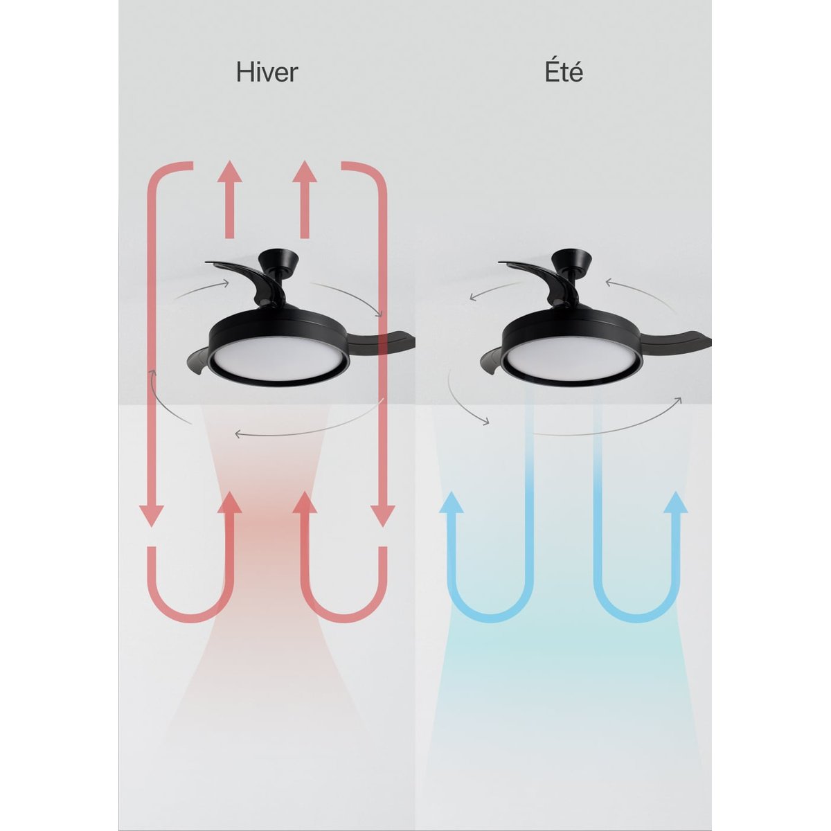 Ventilateur de plafond 40 W avec lumière et contrôleur mural WIND CLEAR EDGE noir/noir, CREATE