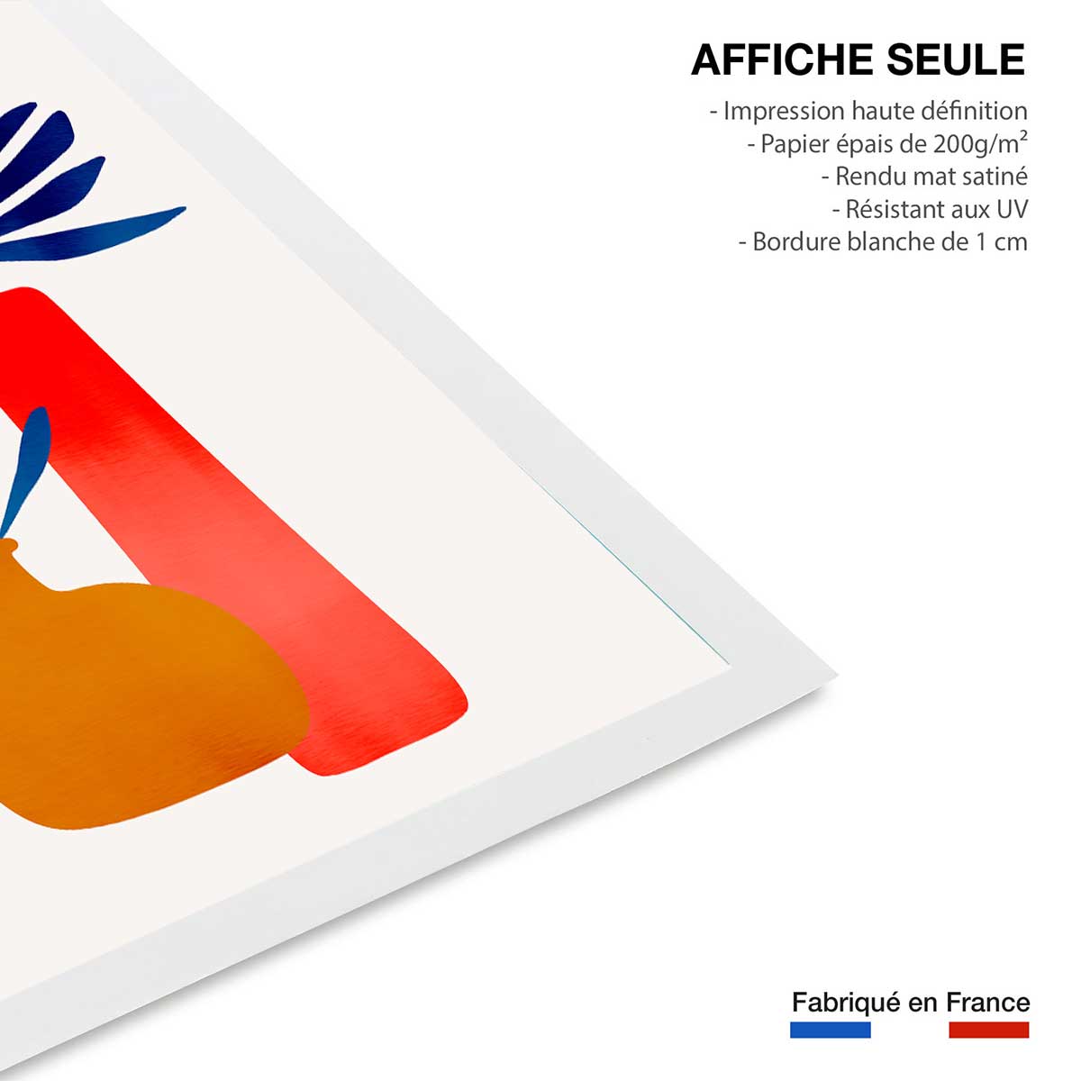 Affiche ""plante en conte de fee"" affiche seule, HEXOA