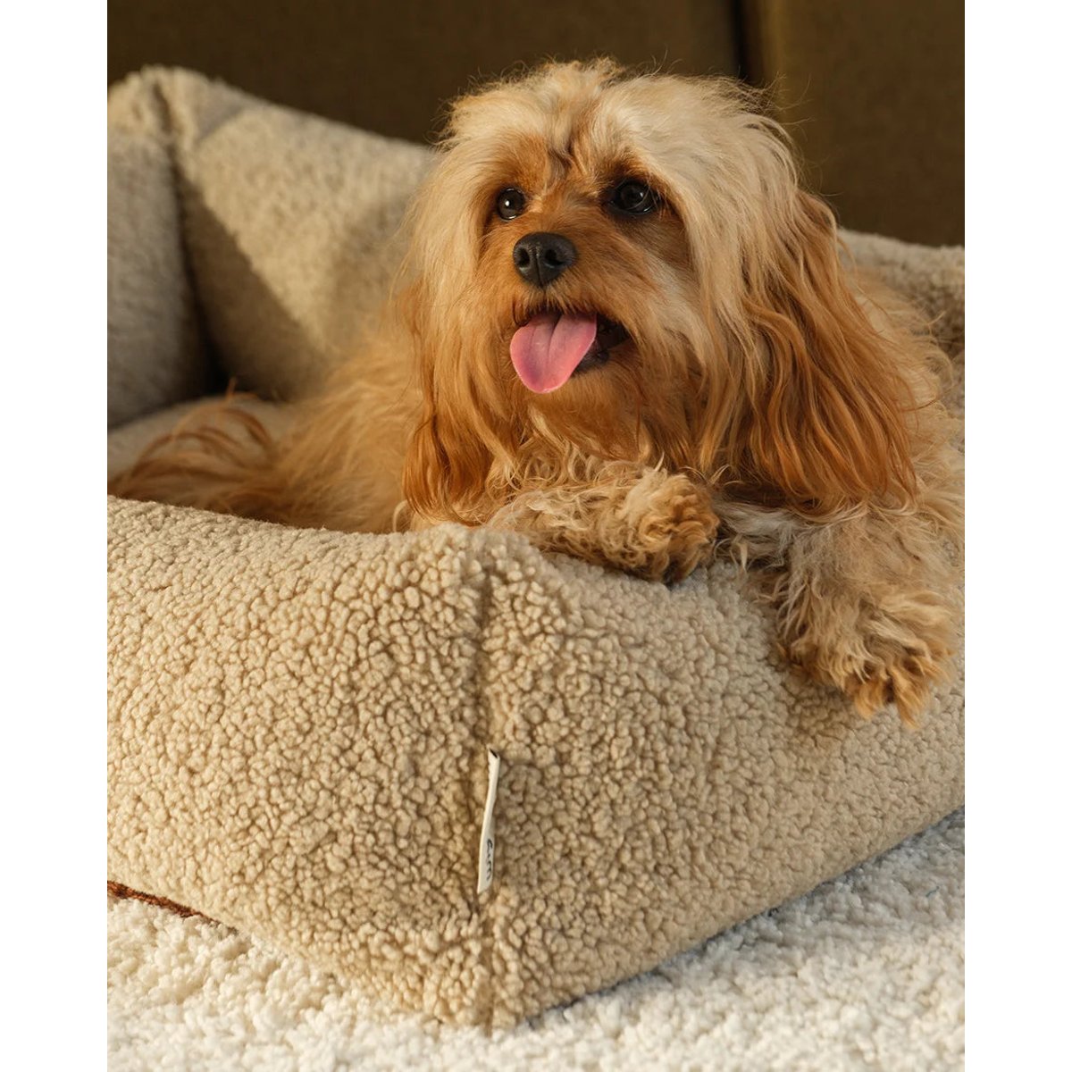 Lit douillet pour animaux M en Teddy biscuit, WIGIWAMA