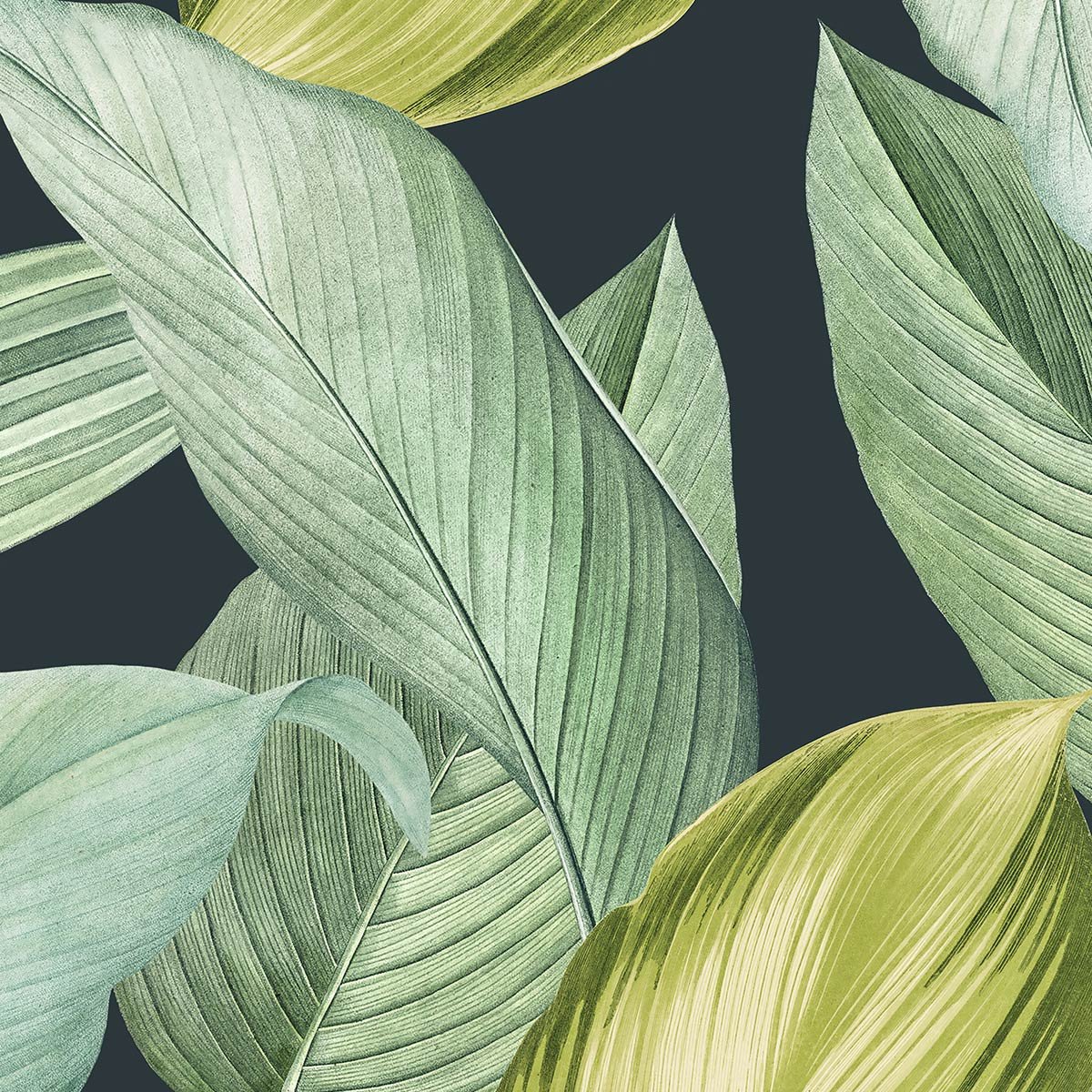 Papier peint panoramique feuilles vert lime intissé, HEXOA