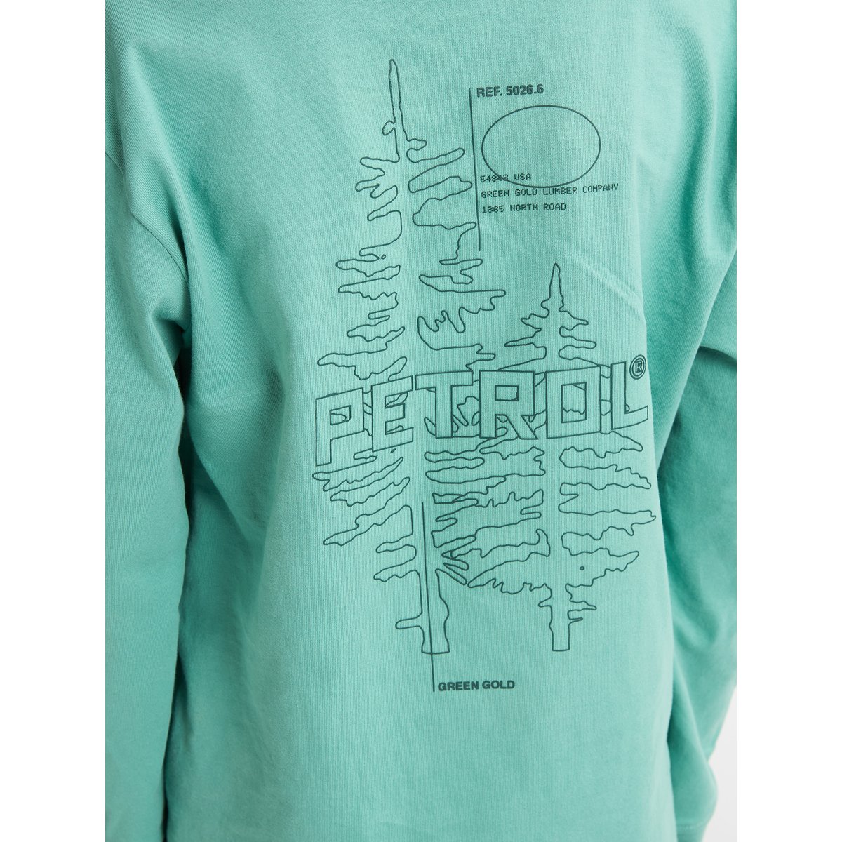 T-shirt à imprimé arrière shenandoah bleu pale aqua, PETROL INDUSTRIES