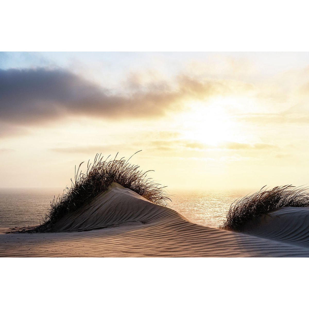Tableau dune au vent tableau alu dibond, HEXOA