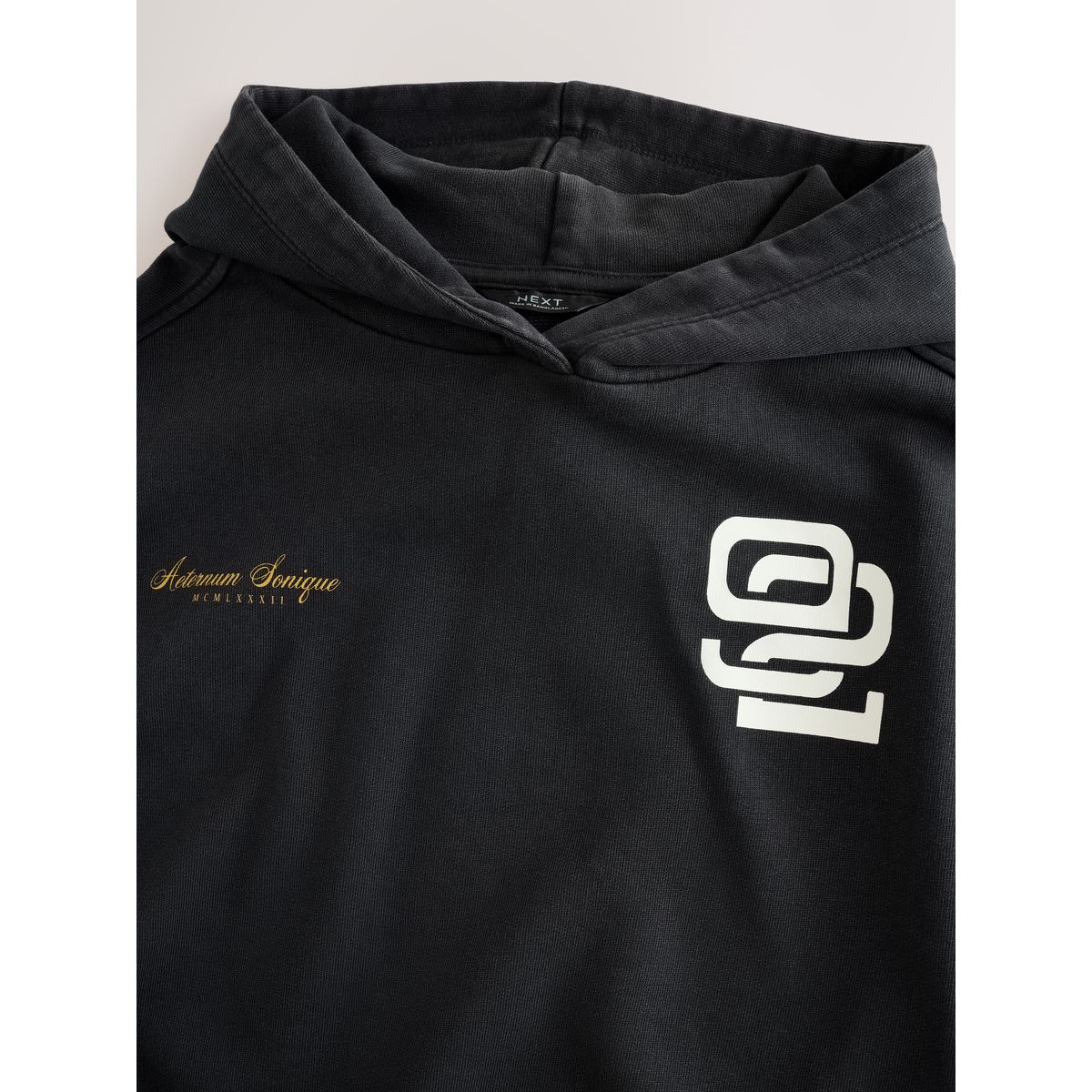 Sweat à capuche décontracté motif charbon lavé, NEXT