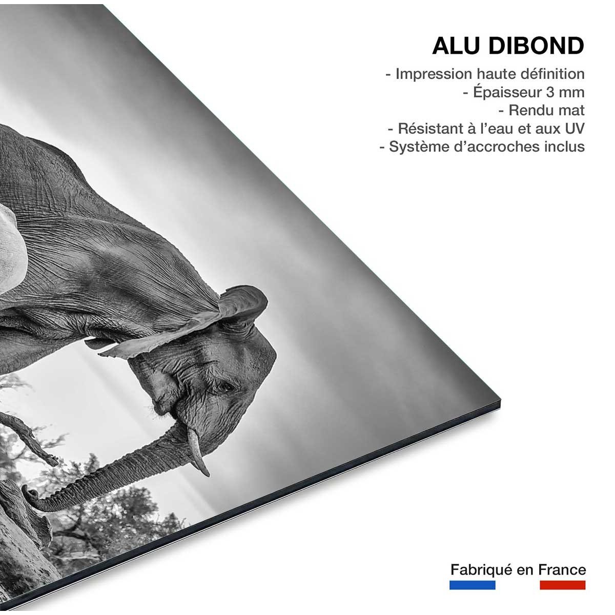 Tableau animaux bataille d'eau tableau alu dibond, HEXOA