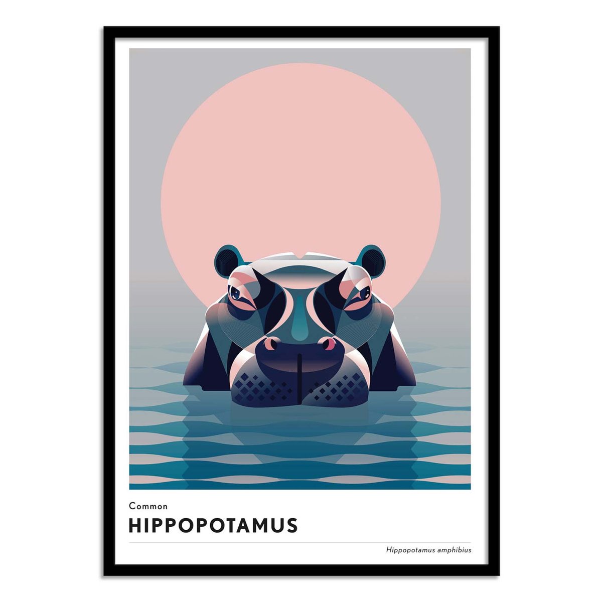 Affiche d'art - Hippopotamus - Mark Harrison violet, WALL EDITIONS