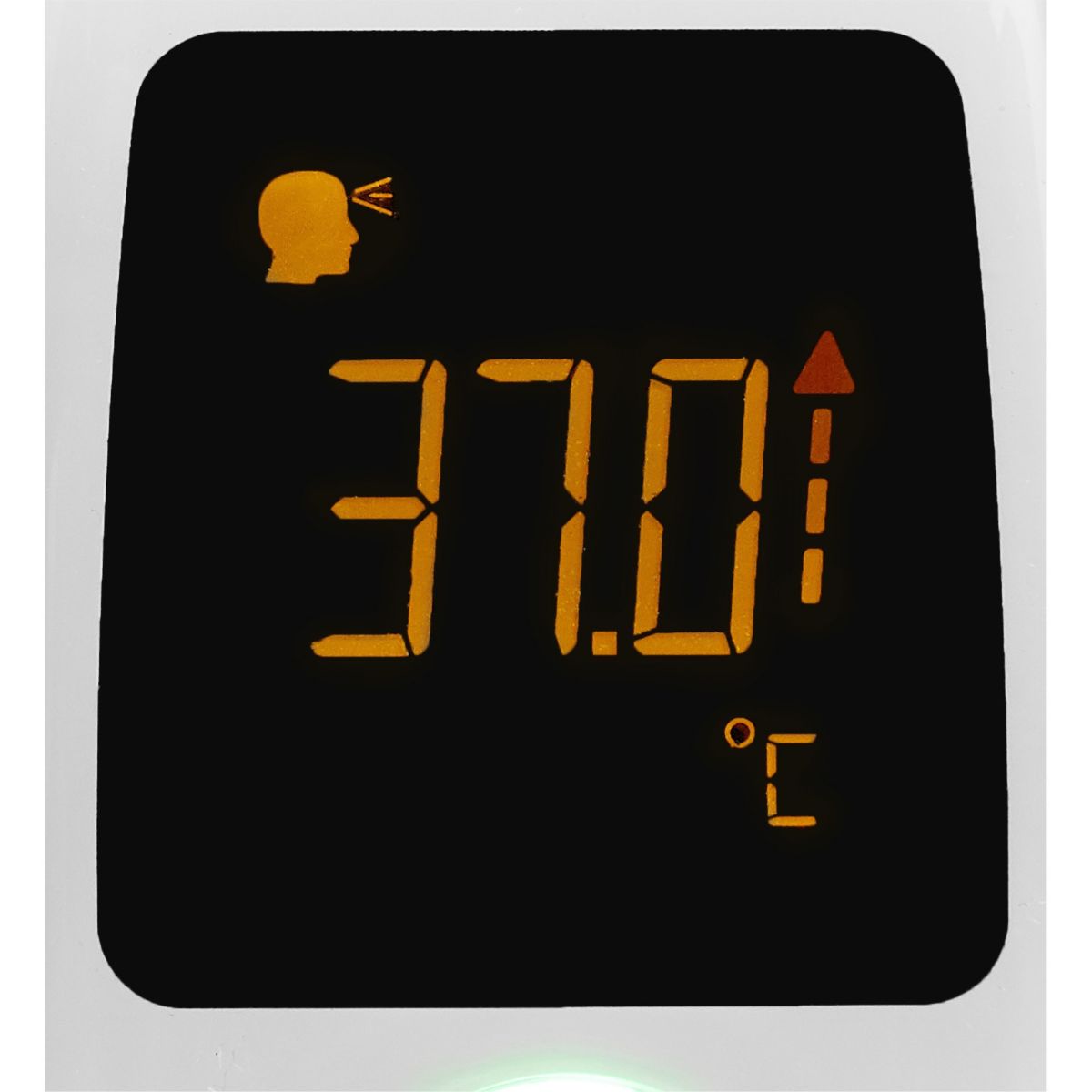 Thermomètre frontal et auriculaire Thermo fast blanc, TERRAILLON