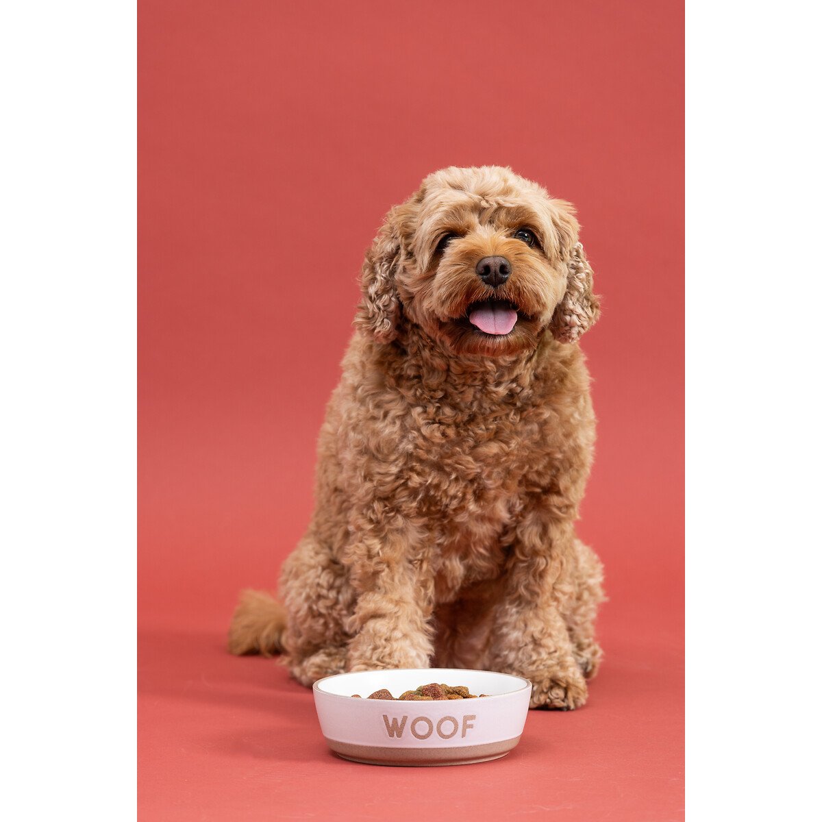 Set of 2 16cm Dip Glaze Bowls with Woof cream, MASON CASH