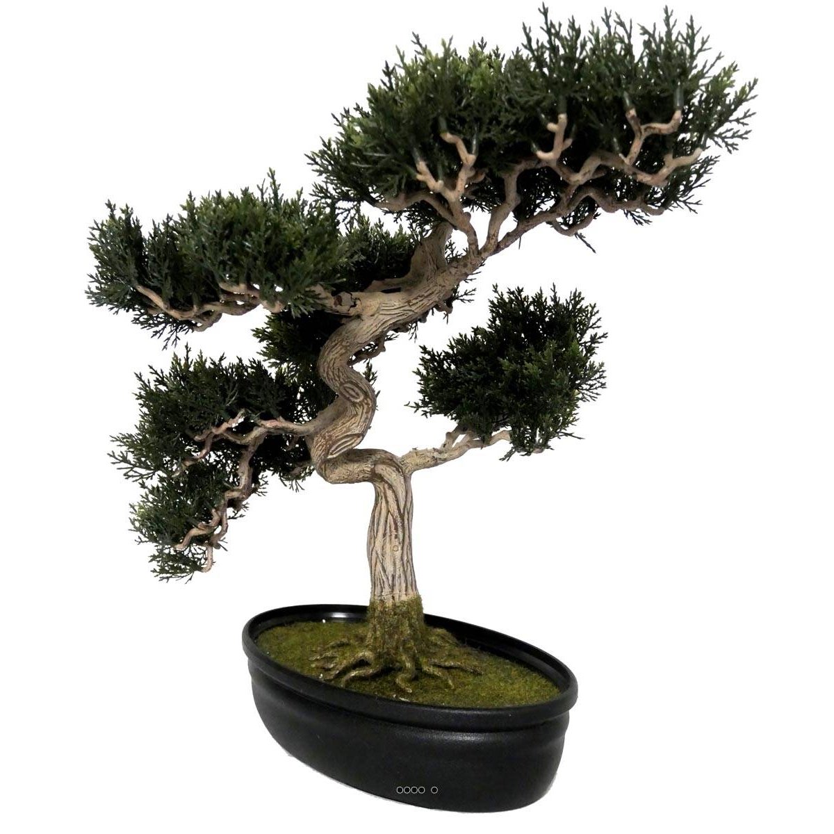 Bonsai artificiel Cedre H 43 X 40 CM vert, ARTIFICIELLES