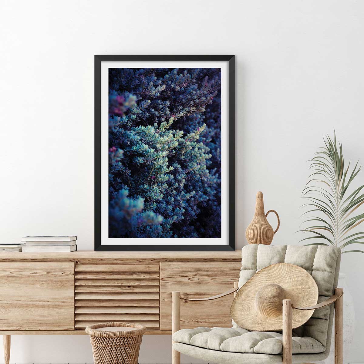 Affiche photo Tableau macro plante grasse collector affiche + cadre en bois - noir, HEXOA