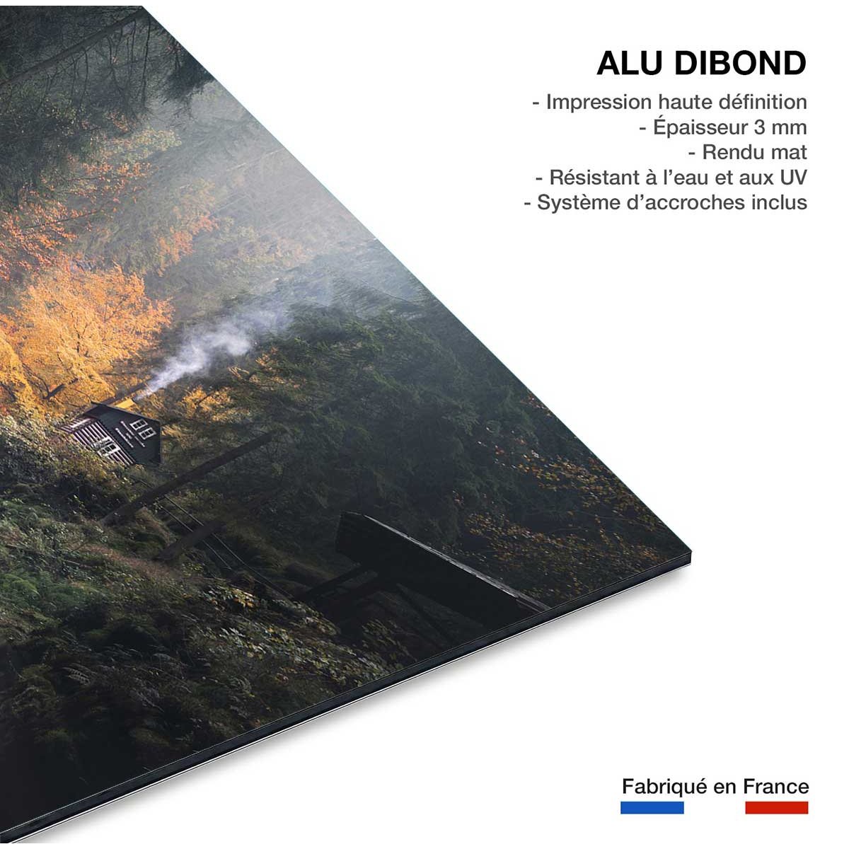 Tableau Vallée suisse en Automne tableau alu dibond, HEXOA