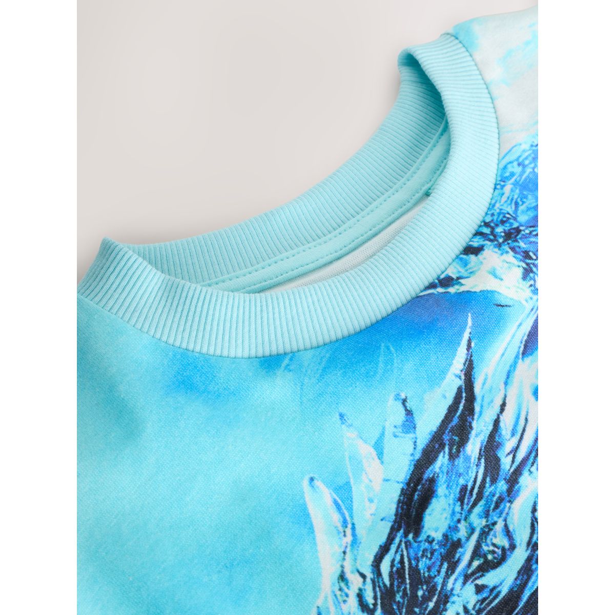 T-shirt standard à manches courtes et imprimé dragon blanc/bleu, NEXT