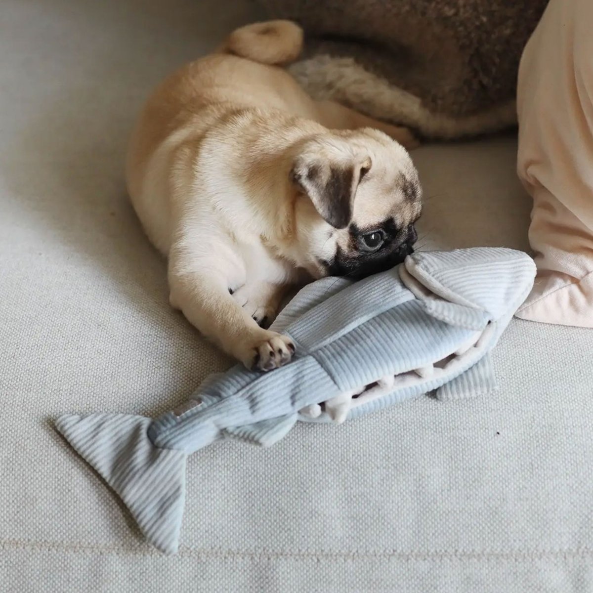 Jouet fouille poisson pour chien, TROUUT bleu glacier, LAMBWOLF COLLECTIVE