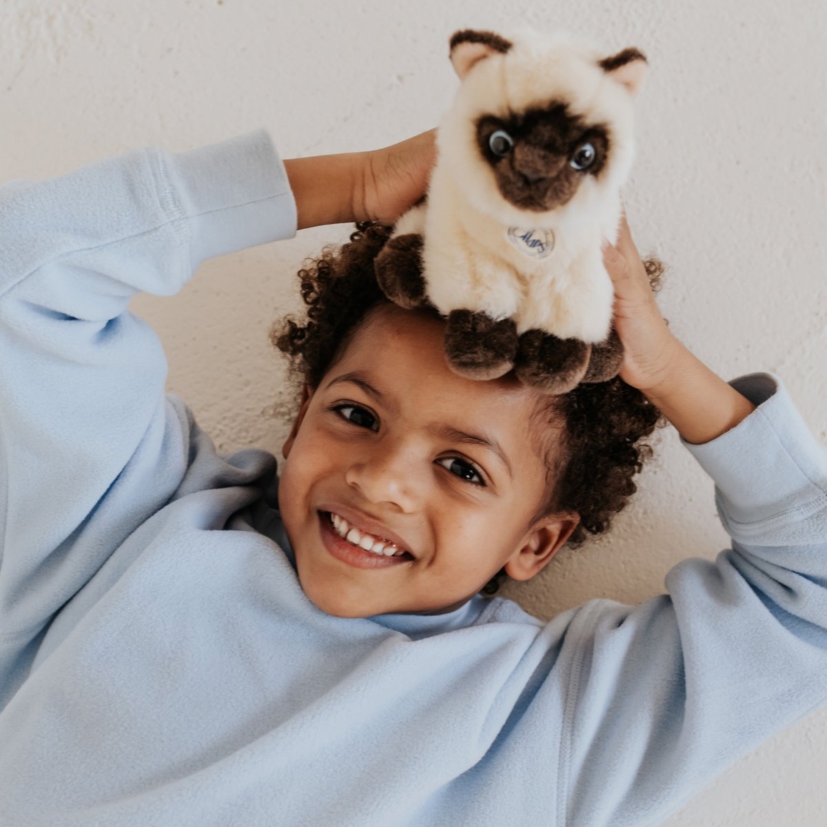 Peluche beige, brun et crème, BT CHAPS