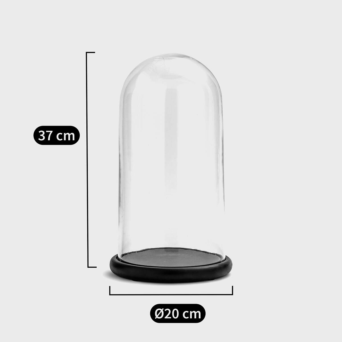 Cloche en verre avec socle noir Campa noir/transparent, LA REDOUTE INTERIEURS