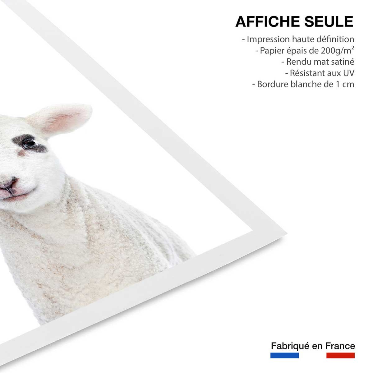 Affiche enfant bébé agneau affiche seule, HEXOA