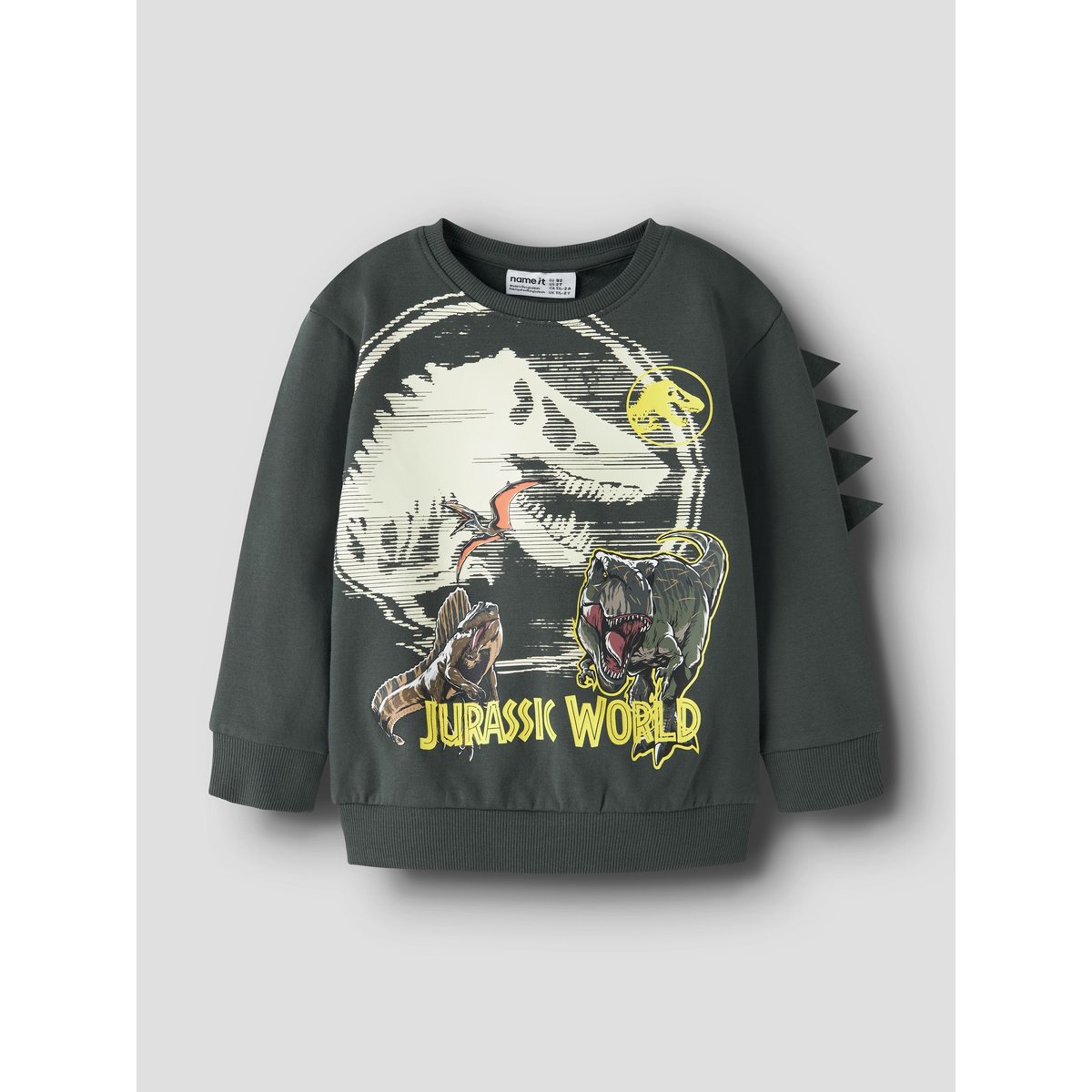 Sweat-Shirt gris - urban chic1, NAME IT