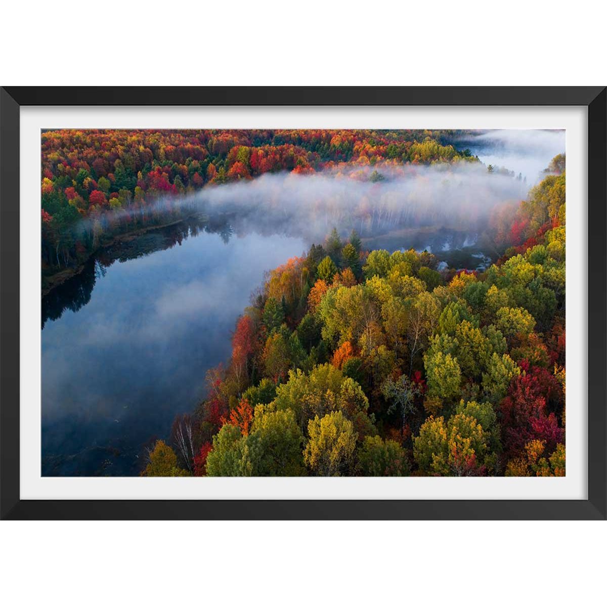 Affiche forêt et symphonie d'automne affiche + cadre en bois - noir, HEXOA