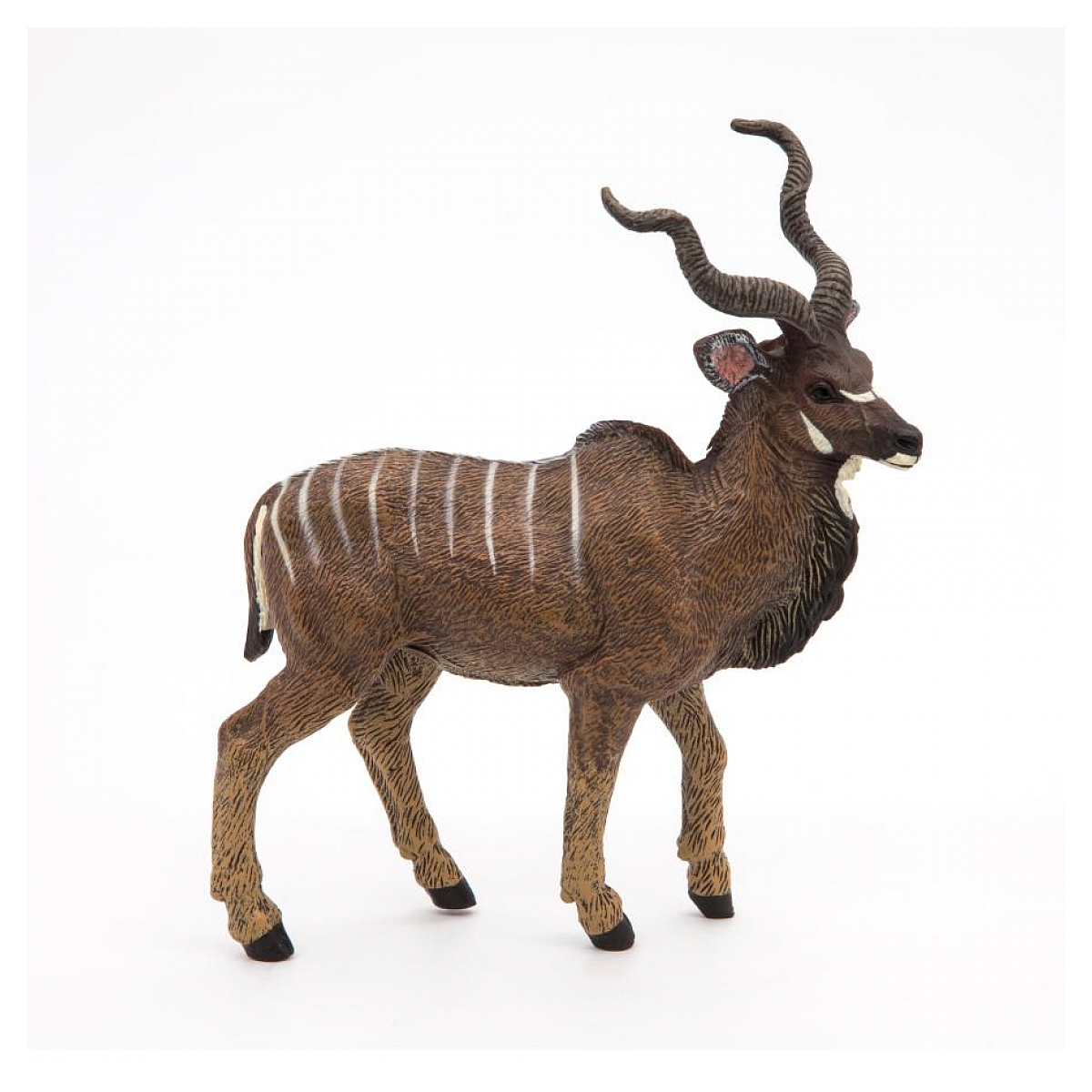 Antilope Koudou marron, PAPO