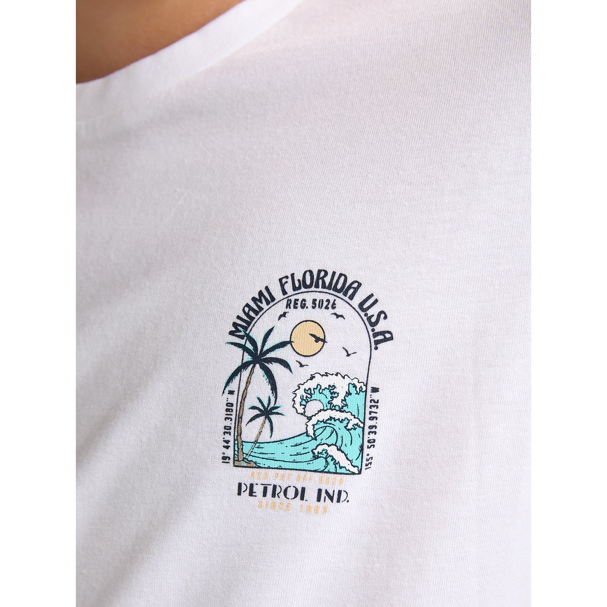 Lot de 2 t-shirts basiques à col rond snapper multicolore, PETROL INDUSTRIES