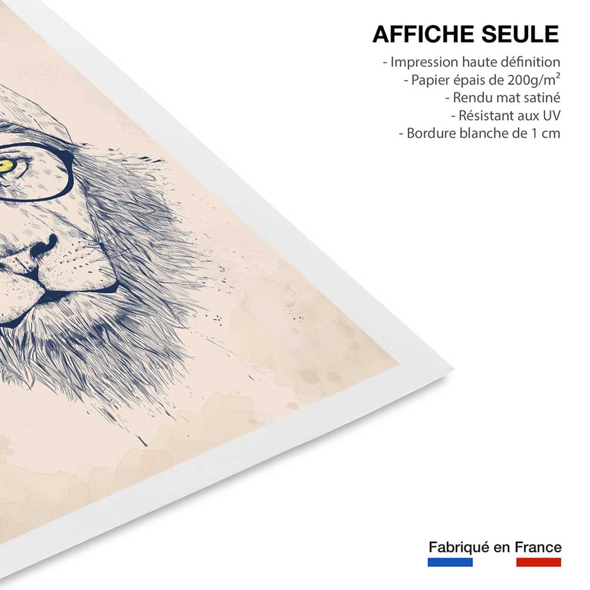 Affiche enfant lion affiche seule, HEXOA