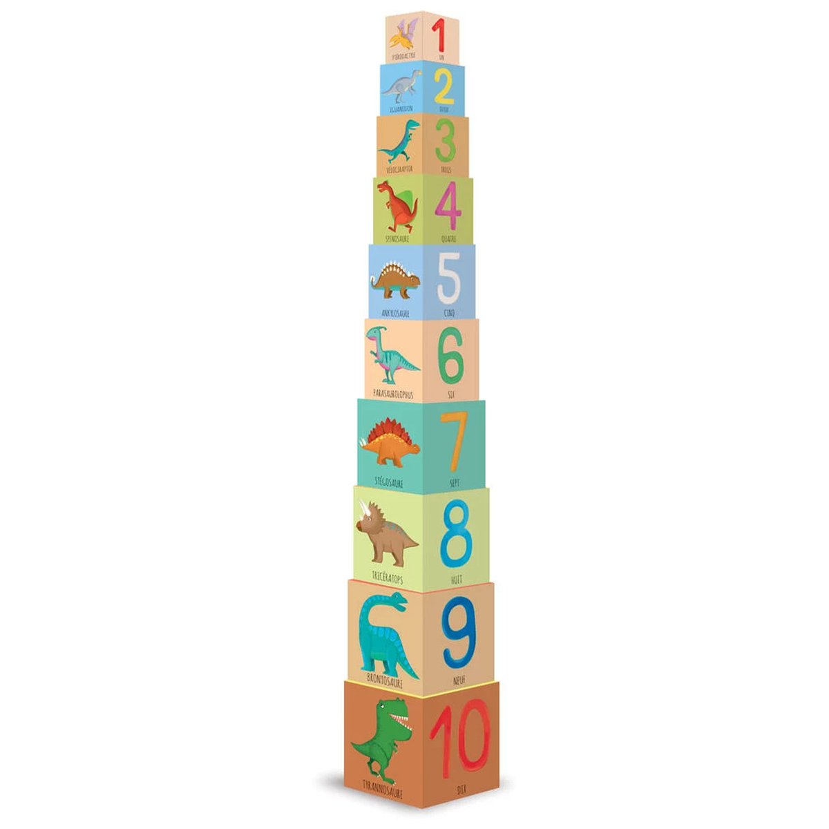 Cubes éducatifs et d'apprentissage SASSI multicolore, SASSI
