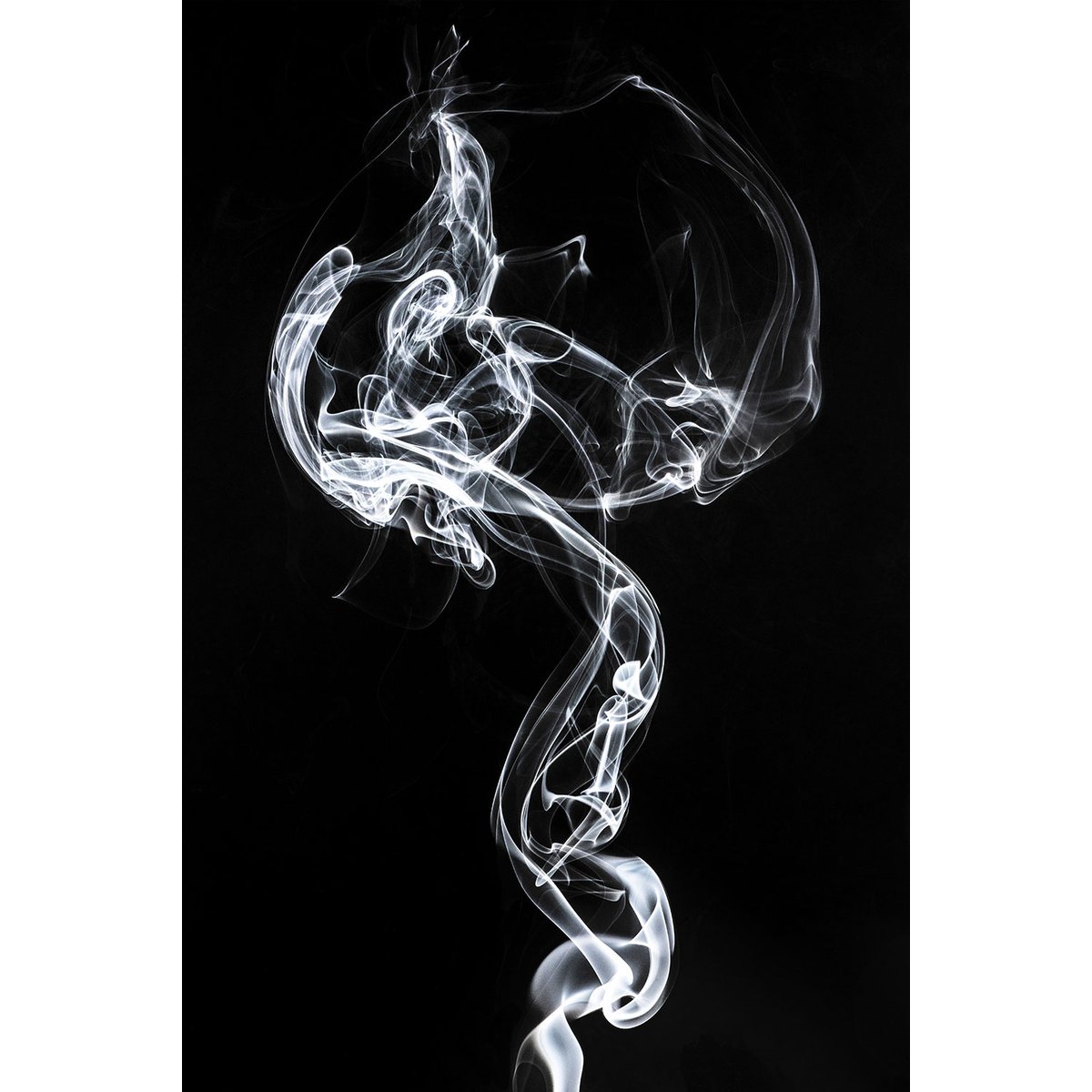 Tableau  white smoke medusa tableau alu dibond, HEXOA