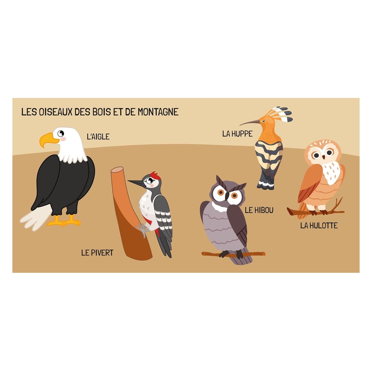Livre et puzzle Les oiseaux bleu, SASSI JUNIOR