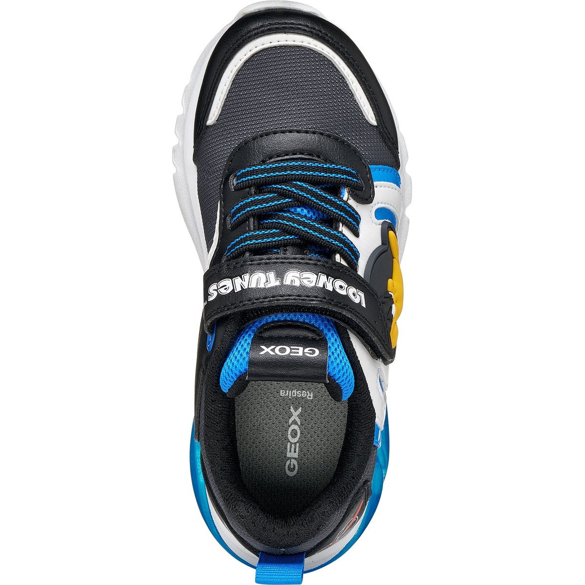 Baskets  J CIBERDRON noir/bleu roi, GEOX