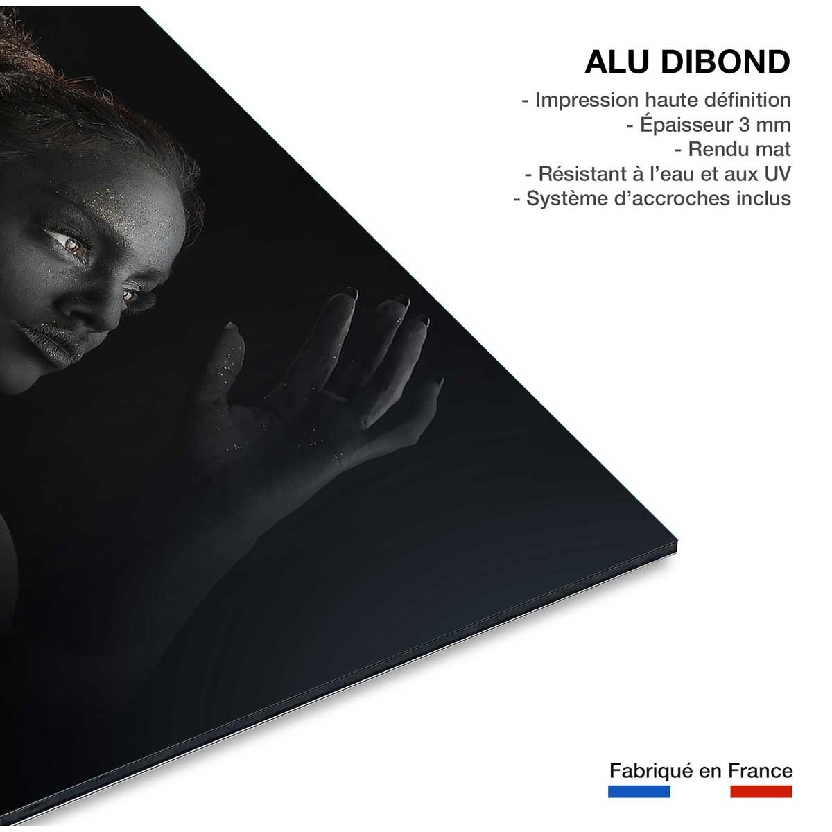 Tableau d'art sofia tableau alu dibond, HEXOA