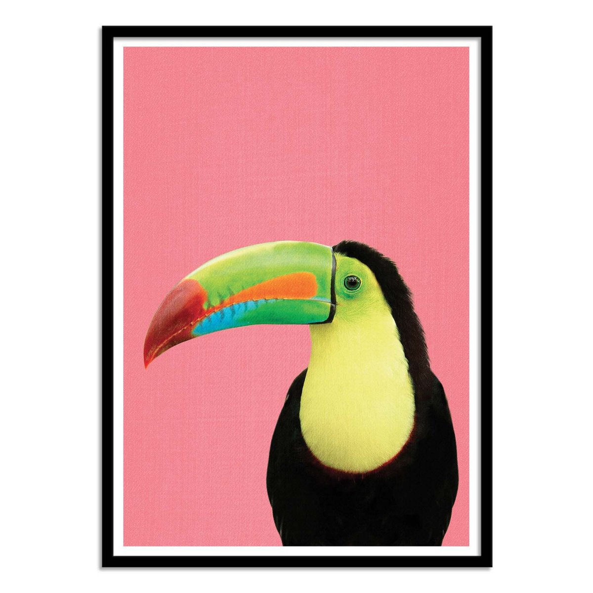 Affiche d'art - Toucan bird in pink - Gal Design rose, WALL EDITIONS