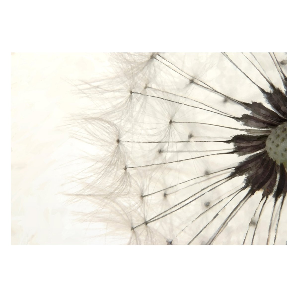 Papier peint intissé panoramique Fleurs White Dandelion gris / argent, EDEN
