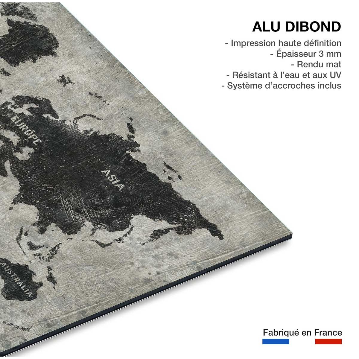 Tableau Carte du monde punky tableau alu dibond, HEXOA