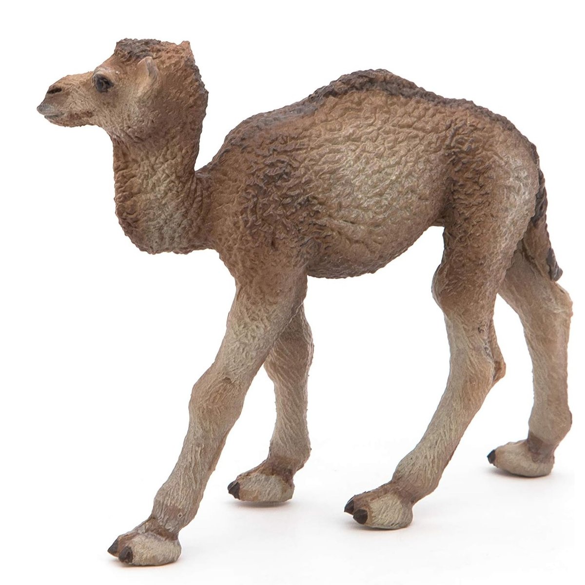 Figurine Bébé dromadaire marron, PAPO
