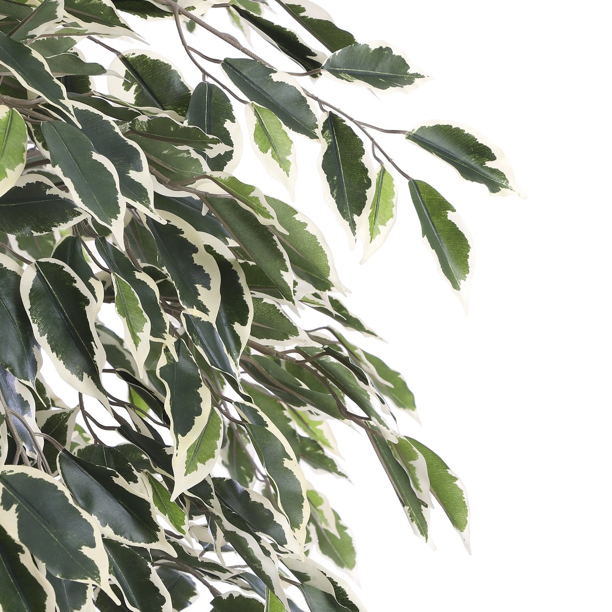Plante artificielle FICUS vert, MICA DECORATIONS