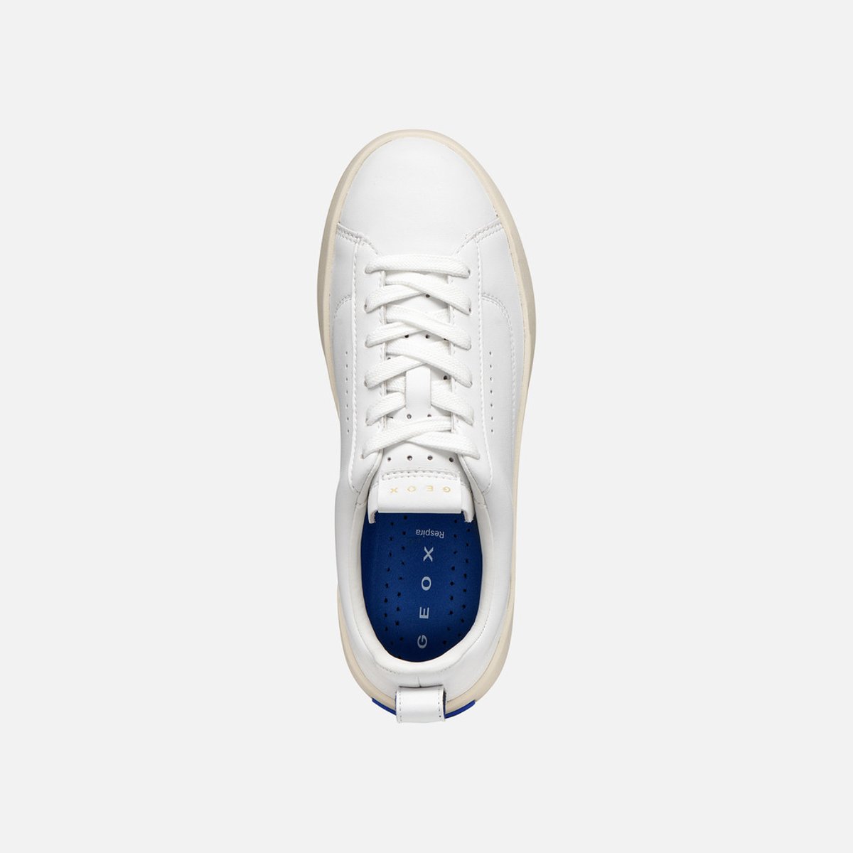 Baskets  D GXCP-01 blanc, GEOX