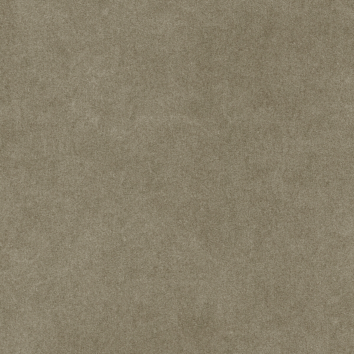 Chauffeuse velours stonewashed, Lazare gris shiitaké, AM.PM