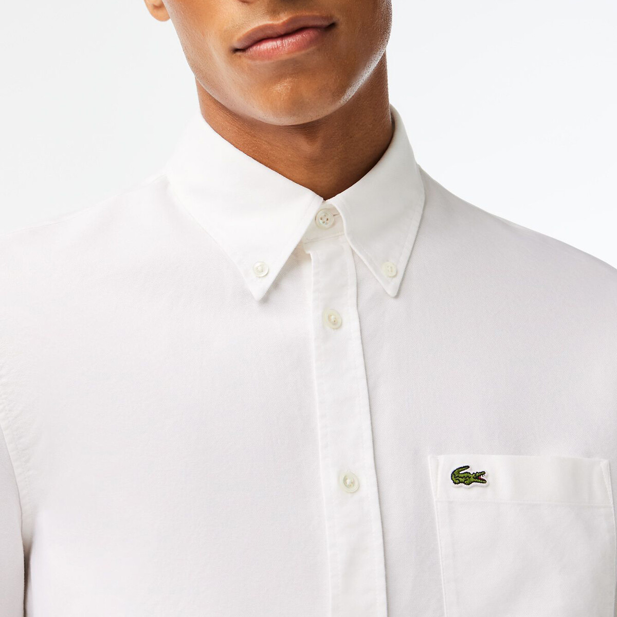 Embroidered Logo Oxford Shirt in Cotton with Long Sleeves white, LACOSTE