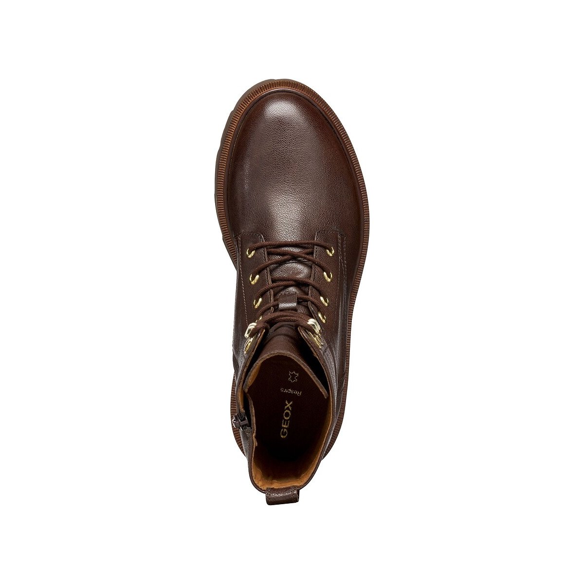 Norize lace-up leather ankle boots dark brown, GEOX