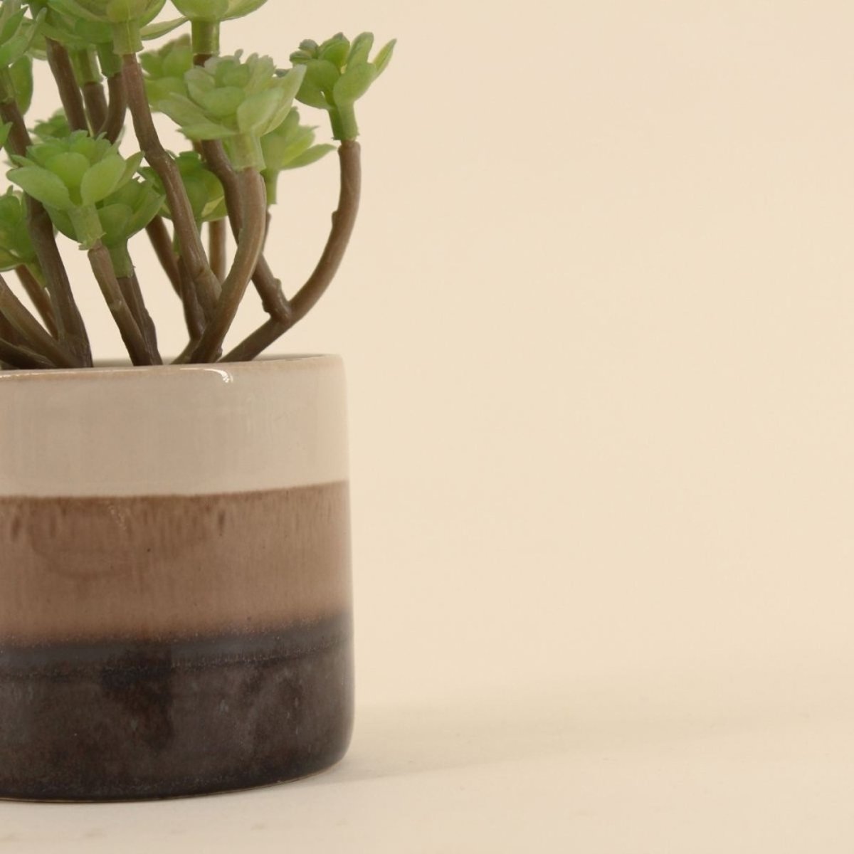 Plante grasse artificielle pot céramique rayé 13cm marron, ORNAMI