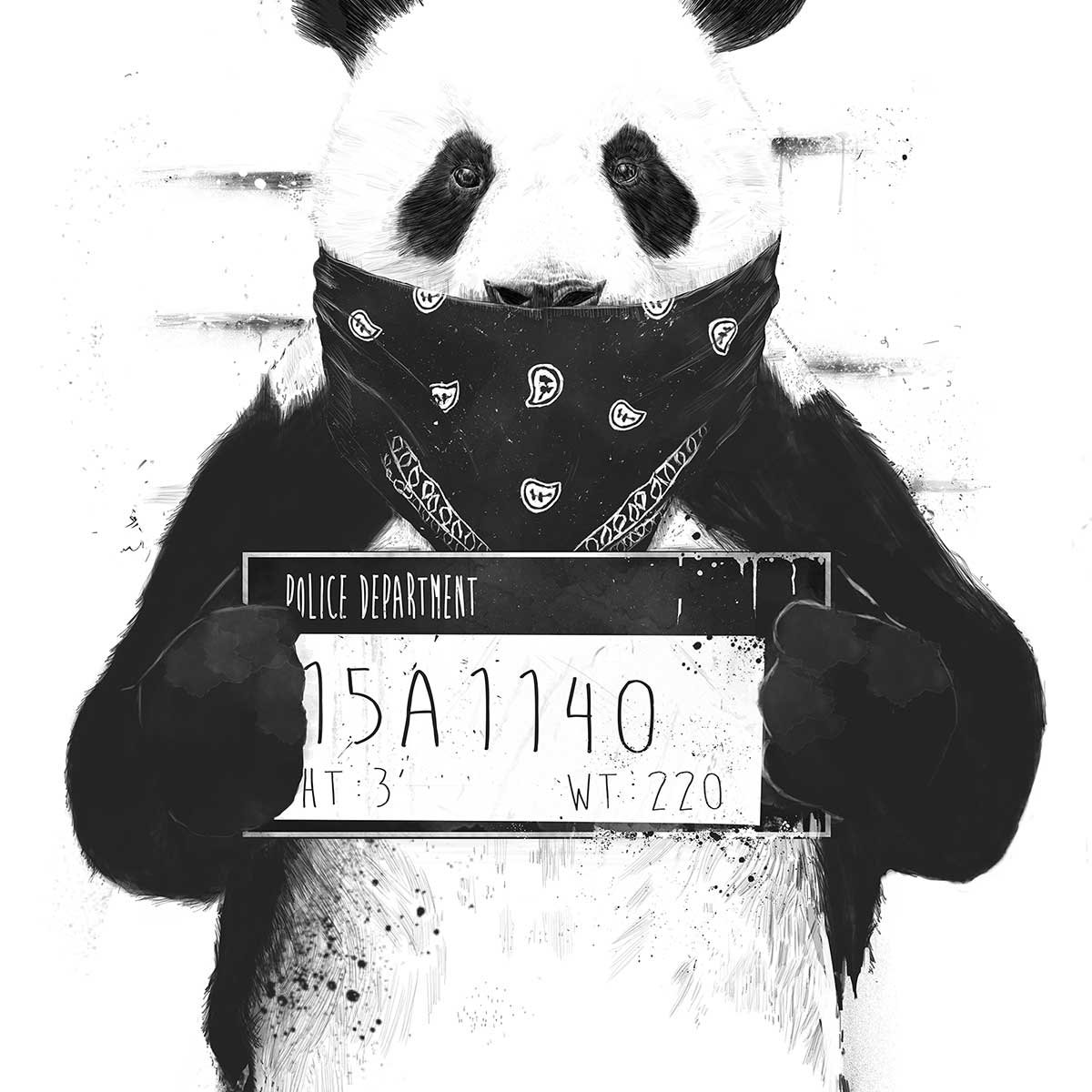 Affiche enfant panda affiche seule, HEXOA