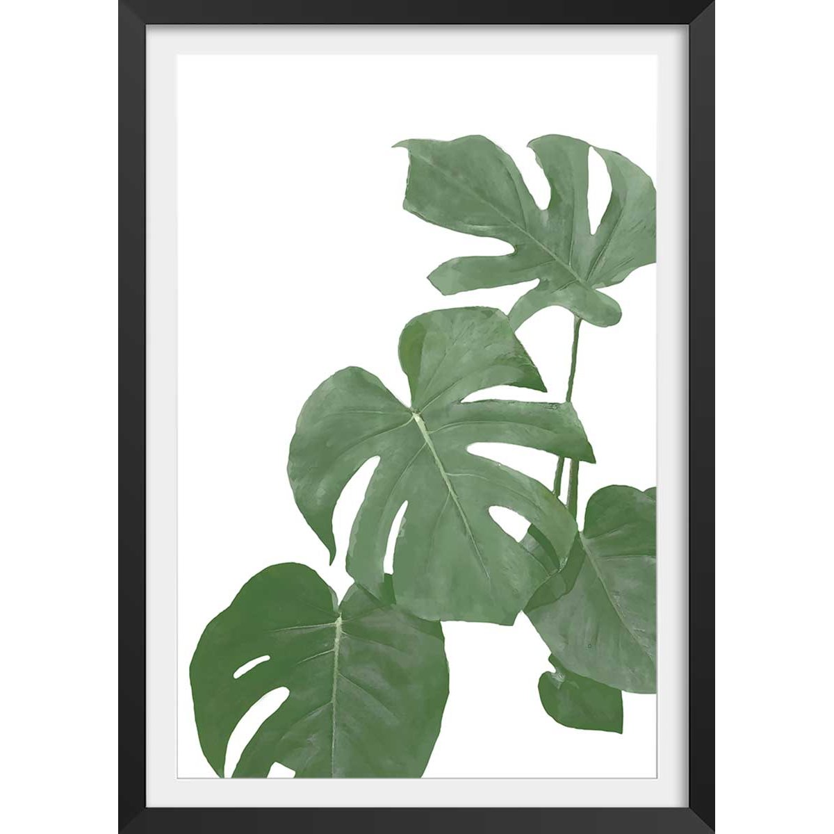 Affiche Feuilles de Monstera affiche + cadre en bois - noir, HEXOA