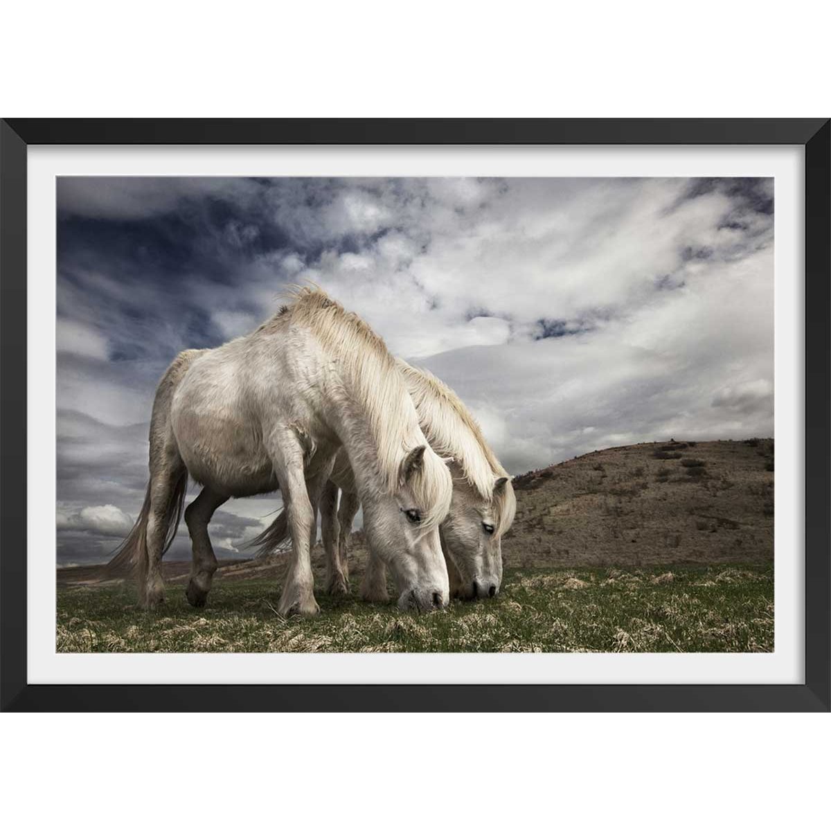 Affiche Chevaux blancs affiche + cadre en bois - noir, HEXOA