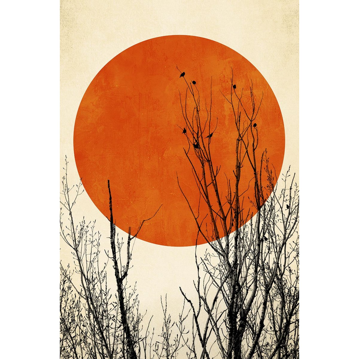 Tableau astronomie lueur hivernale toile imprimée, HEXOA